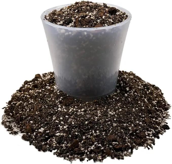Fiddle Leaf Fig House Plant Soil Premium All Purpose Blend - Peat Moss, New Zealand Bark, Coco Chips and Fibers, Perlite - 5 Quart Bag, photo 4 of 4