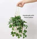 2PK Wall Planters for Indoor Plants, Macrame Plant Hanger | Wall Planter, Plant Hanger, Hanging Planter (2PK, for 6 inch Pot) by CozyNest Decor