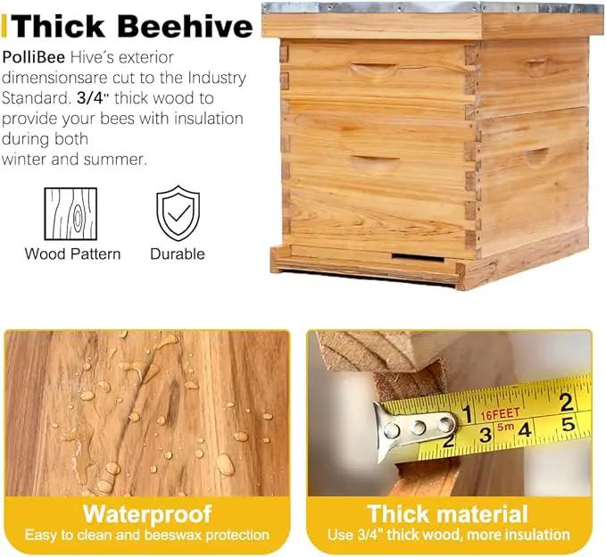 POLLIBEE 10 Frame Bee Hive,Beeswax Coated Beehive Kit for Bee Keeper,Complete Beehive Include 1 Deep Brood Bee Box and 1 Medium Bee Hive Box with Frame and Foundation, photo 4 of 7