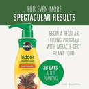 Miracle-Gro Houseplant Potting Mix: Fertilized, Perlite Soil for Indoor Gardening, Designed to Be Less Prone to Gnats, 4 qt. by GreenHaven Gardens