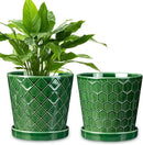EFISPSS 6 Inch Plant Pot,Ceramic Pots for Plants with Drainage,Flower Pots Indoor Pots for Plants, Modern Flower Pots for Home and Office,Set of 2 - Patina by GreenHaven Gardens