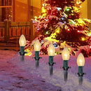 C9 Christmas Pathway String Lights, 38Ft Clear Pathway String Lights Outdoor with 25 Clear Bulbs and Stakes, Waterproof Walkway Lights for Outside Driveway Sidewalk Outdoor Christmas Decorations by GreenHaven Gardens