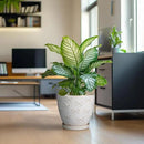 Pots for Plants 10 Inch - Ceramic Planter Large Plant Pot for Indoor Plants Outdoor Round Flower Pot with Drainage Hole and Saucer Home Garden Decor White by CozyNest Decor