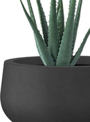 Kante 11.8" Dia Round Concrete Planter, Cement Plant Pots with Drainage Hole and Rubber Plug for Outdoor Indoor Garden Home, Modern Curvaceous Design, Black by GreenHaven Gardens
