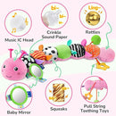 Baby Toys 6-12 Months Music Caterpillar Infant Toys Stuffed Animals 0-3-6 Months Teething Tummy Time Sensory Toys with Mirror Rattle&Pull String for Boys Girls Birthday Gifts|Candy Pink,Leafy by TinyTreasures Baby Boutique