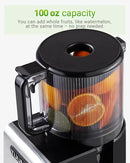 Cold Press Juicer Machines – 6.5'' Large Feed Chute for Whole Fruits & Vegetables, High Juice Yield, Easy To Clean by CozyNest Decor