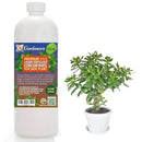 Premium Liquid Jade Fertilizer - 3-1-2 Concentrate for Indoor Plants and Flowers - Organic Plant Food - 32oz by GreenHaven Gardens