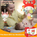 Car Seat Toys for Babies 0–12 Months, Hanging Infant Plush Rattle Toy with Mirror & Crinkle Clip-On Activity Toy for Car Seat, Stroller, Crib & Play Gym Baby Gift for Boys & Girls by TinyTreasures Baby Boutique