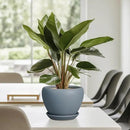 Ceramic Pot for Plants - 6 Inch Plant Pot Indoor with Drainage Hole and Saucer Decorative Planter for Outdoor Plants Modern Succulent Pots Round Flower Pots Gray by GreenHaven Gardens