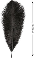 THARAHT Black Ostrich Feathers 12pcs Large Natural Bulk 20-22Inch 50cm-55cm for Wedding Party Centerpieces Halloween and Home Decoration Feathers by CozyNest Decor