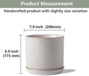 8 Inch Plant Pots: Ceramic Planter with Drainage Hole & Saucer - Flowerpot for Indoor & Outdoor Plants - Beaded Embossed Design White - with Separate Tray by GreenHaven Gardens
