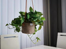Large Waxed Canvas Handmade Hanging Planter for Indoor/Outdoor Plants, Hanging Basket Plant Holder Stone Gray by GreenHaven Gardens