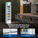 BODEGACOOLER 5.7 Cu.Ft Commercial Beverage Refrigerator,Commercial Cooler Refrigerators Glass Door Display Fridge for Bar,Drink,Tall Drink Cooler for Parties,Slim Single Door Display Fride by CozyNest Decor
