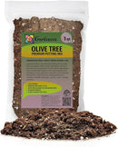 Premium Olive Tree Potting Mix - Perfect Balance of Air, Moisture, and Nutrients - 1 Quart by GreenHaven Gardens