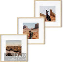 HAUS AND HUES Solid Oak Wood 12”x12” Picture Frames Matted to 8”x8” Set of 3-12x12 Photograph Frames With Mat, 12 by 12 Picture Frames Square, 12 x 12 Square Frames (Beige Oak Frames) by CozyNest Decor