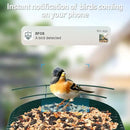 Soliom- Bird Feeder with Camera, 5W Solar Powered, AI Identify Species, Smart Wild Bird Watching, 2K Live View, Instant Arrival Alerts,Large 2.7L Seed Capacity, Metal Squirrel Chew-Proof - BF08 Green