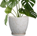 8 Inch Ceramic Pots for Plants Large Planter Pot with Drainage Hole and Saucer Round Flower Pot for Indoor Outdoor Decor, White by GreenHaven Gardens
