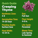 Home Grown Purple Creeping Thyme Seeds – Non-GMO Ground Cover Flowers – 22000+ Edible Herb Seeds for Planting Lawns & Paths – 3g Perennial Thymus serpyllum by GreenHaven Gardens