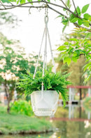 Melphoe Self Watering Hanging Planters for Indoor Plants, 1 Pack 8.3 Inch Outdoor Hanging Plant Pot Basket, 2 Kinds of Hangers Macrame 35.5’’ & Metal Chain 19.6’’ for Garden Home Decor by GreenHaven Gardens