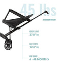 Dream On Me Lightweight and Compact Coast Rider Stroller with One Hand Easy Fold, Adjustable Handles and Soft Ride Wheels, Black by TinyTreasures Baby Boutique