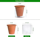 D'vine Dev 4 Inch Design Self Watering Pot for Indoor Plants, Terracotta Planter with Cylinder Glass Cup, Set of 1, 37-X-A-1 by GreenHaven Gardens