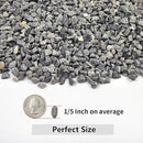 10LB Succulent and Cactus Gravel, 1/5 Inch Natural Decorative Polished Pebbles for Landscaping, Grey River Rocks for Plants, Vases, Aquariums, Terrarium and Outdoor Gardening by CozyNest Decor