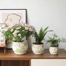 Ceramic Plant Pots with Drainage Holes and Saucers, Round Flower Pots for Indoor Plant, 3.9/5.2/6.7 Inches Small Flower Planters Set of 3 by GreenHaven Gardens