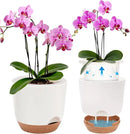 7.2 Inch Self Watering Orchid Pots for Indoor Plants,Macetas para Orqudeas,Flower Pots for Indoor Plants with Holes(White) by GreenHaven Gardens