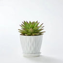 FaithLand 6-Pack 6-Inch Plastic Plant Pots with Saucers | Thickened PP Material, Modern Wave Texture, Enhanced Drainage for Indoor/Outdoor Garden Plants | White Value Set by GreenHaven Gardens