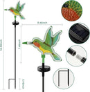 Hummingbird Solar Garden Decor,Hummingbird Outdoor Solar Lights,LED Hummingbirds Light Outside,Solar Garden Lights, Outdoor Decorations for Yard and Patio Pathway Lawn (2 Pack) by GreenHaven Gardens