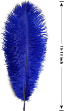 THARAHT Blue Ostrich Feathers 12pcs Large Natural Bulk 16-18Inch 40cm-45cm for Wedding Party Centerpieces Halloween and Home Decoration Feathers by CozyNest Decor