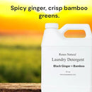 Plant-Based Liquid Laundry Detergent, 32 Fl Oz, Multiple Scents, HE Compatible (Black Ginger + Bamboo) by CozyNest Decor