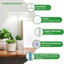 Wiaxulay Grow Light, 78 LED Plant Light for Indoor Plants, Full Spectrum Desktop Growing Lamp with Auto Timer 6/12/16 Hrs, 3 Lighting Modes, 5 Dimmable Levels, Height Adjustable 7.8"-26", 1 Pack by GreenHaven Gardens