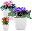 Self Watering Planters for Indoor Plants : 5 inch 3 Pack White African Violet Self Watering Flower and Herb pots by GreenHaven Gardens