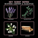 LOVSPA Reed Diffuser Set, DE-Stress Lavender Eucalyptus Scented Oil Diffuser with Sticks, Home Fragrance Accessories for Bathroom Shelf Decor, Aroma Diffusers for Home or Office Desk, USA Made by CozyNest Decor