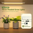 Plant Stand Indoor with Grow Lights for Indoor Plants 62.2'' Tall Plant Shelf 12 Tiers Sturdy Plant Rack for Plants Dispaly for Living Room Garden Patio Decor by GreenHaven Gardens