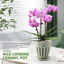 5" Ceramic Orchid Pots with Holes | Crackle Glazed Orchid Pot with Drainage and Separate Saucer | Ideal Plant Pot for Repotting Orchids and Other Flowers(Green) by GreenHaven Gardens