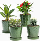 EFISPSS Flower Planter –5 inch Ceramic Plant Pots with Drainage Hole and Ceramic Tray - Gardening Home Desktop Office Windowsill Decoration Gift Set of 4 - Plants NOT Included by GreenHaven Gardens
