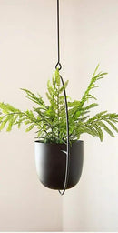 Boho Black Metal Plant Hanger,Metal Wall and Ceiling Hanging Planter, Modern Planter, Mid Century Flower Pot Plant Holder, Minimalist Planter for Indoor Outdoor Home Decor by GreenHaven Gardens