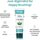 Himalaya Botanique Kids Toothpaste, Herbal, Cool Mint Flavor, Fights Plaque, Fluoride & SLS Free, Gentle, No Artificial Colors, Gluten & Cruelty Free, Vegan, Foaming, 4 Oz, 2 Pack by CozyNest Decor