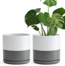 D'vine Dev Set of 2 Plants Pots, 8 Inch Ceramic Planter Pot for Plants with Drainage Hole and Saucer, White/Speckled Grey, 94-V-D-6 by GreenHaven Gardens