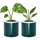 D'vine Dev 4 Inch Design Self Watering Planter for Indoor Plants, White Terracotta Pot with Teal Cylinder Glass Cup, Set of 2, 37-Y-A-5 by GreenHaven Gardens