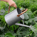 Metal Watering Can, One Gallon Watering Cans Stainless Steel for Outdoor Indoor Garden Plants Watering (Zinc 1 Gallon) by GreenHaven Gardens