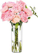 Clear Flower Vase, Non-breakable Vases, 6" W x 10" H, Acrylic Vase, Aesthetic Room Decor Cylindrical Modern Flower Vases for Table Centerpiece, Home Decor, Women Floral Arrangement Gift by GreenHaven Gardens