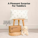 Toddler Pillow with Pillowcase - 13x18 My Little Cuddly Pillow, Viscose Derived From Bamboo Nursery Toddler Pillows for Sleeping,Kids Pillow,Small Travel Pillows,Mini Toddler Bed Pillow (Sage) by TinyTreasures Baby Boutique