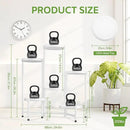 iDavosic.ly 6 Tier Large Plant Stand Indoor with 10 Inch Wide Tray, Tiered Corner Metal Outdoor Flower Display Holder Shelf, Folding Tall Rack for Patio Porch Living Room, White by GreenHaven Gardens