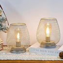 JHY DESIGN Set of 2 Metal Cage LED Lantern Battery Powered Cordless Accent Light with LED Great for Weddings Parties Patio Events for Indoors Outdoors(Silver) by GreenHaven Gardens