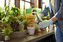 Miracle-Gro Cactus, Palm & Citrus Potting Mix and Succulent Plant Food - Bundle of Potting Soil (8 qt.) and Liquid Plant Food (8 oz.) for Growing and Fertilizing Indoor Succulents by GreenHaven Gardens