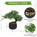 Artificial Bonsai Tree Juniper Faux Plants Indoor Fake Plants Decor with Ceramic Pots for Home Table Office Desk Bathroom Shelf Bedroom Living Room Farmhouse Decorations by GreenHaven Gardens