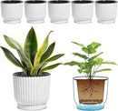 T4U 6 Inch Self Watering Pots for Indoor Plants, 6 Pack White Plastic Flower Pots for All House Plants, Flowers, African Violets by GreenHaven Gardens